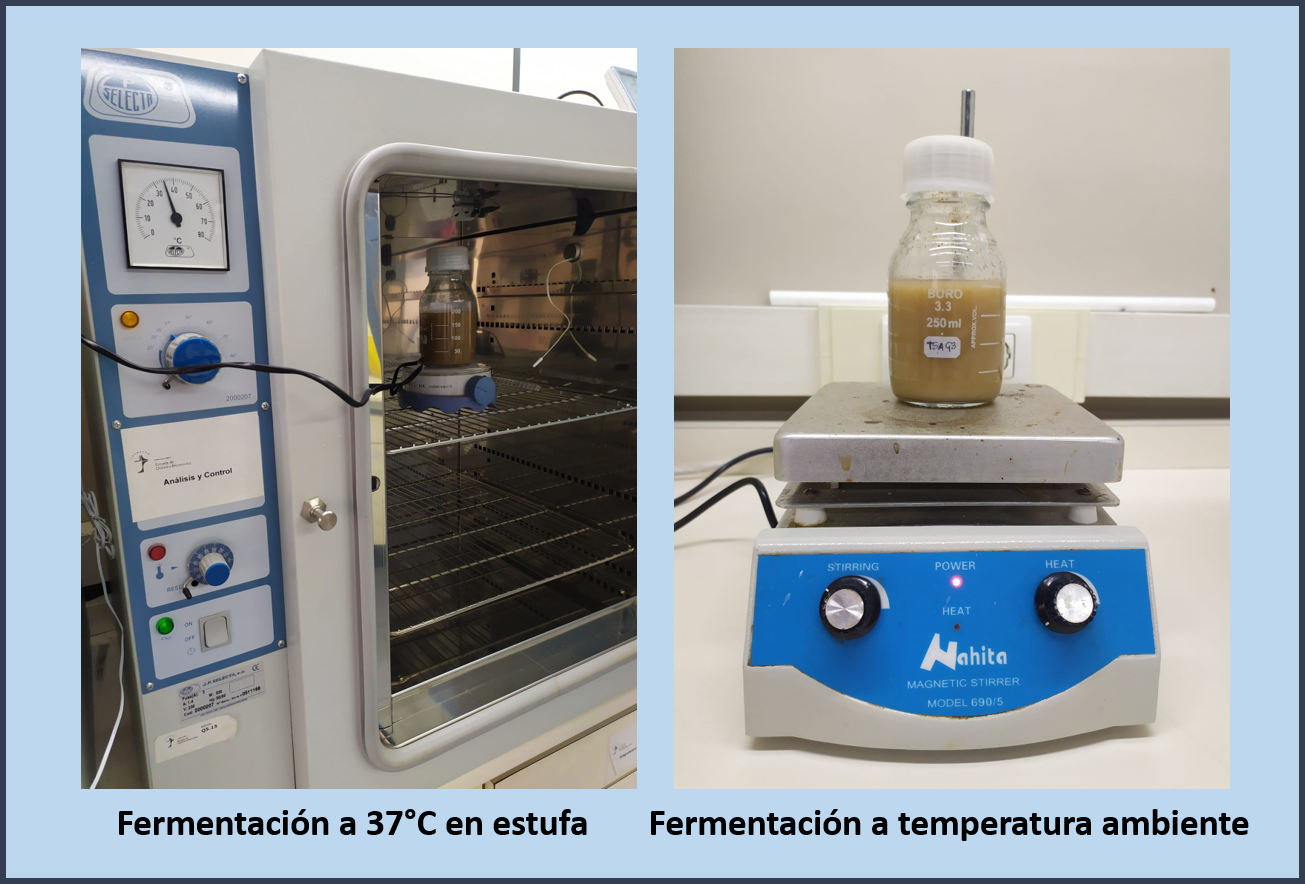 Fermentaci&oacute;n l&aacute;ctica en presencia de exoesqueletos