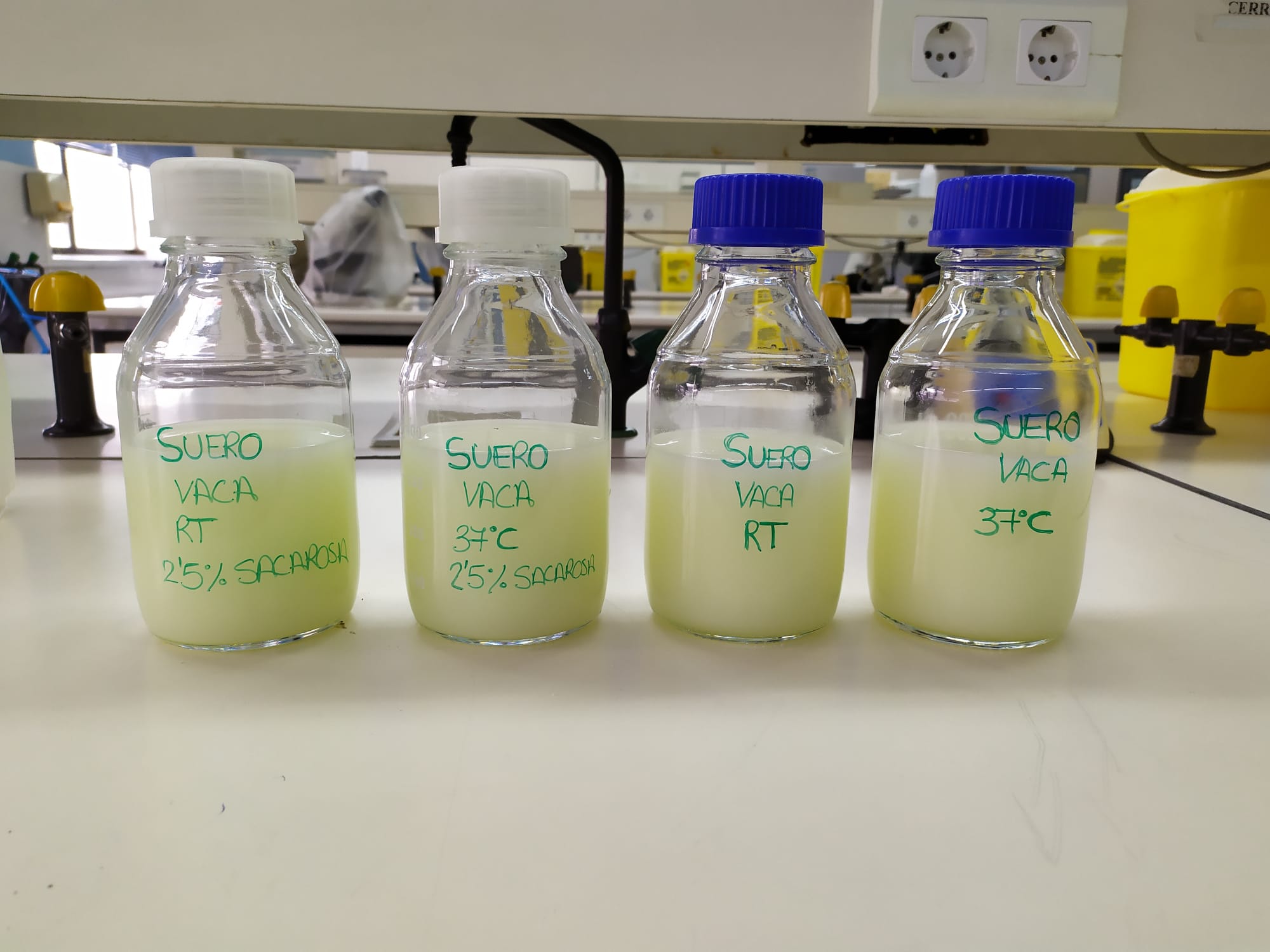 Optimizaci&oacute;n de condiciones de crecimiento bacteriano