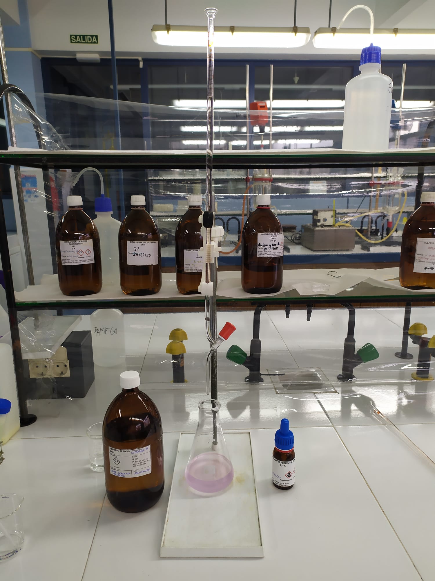 An&aacute;lisis para la determinaci&oacute;n del crecimiento bacteriano
