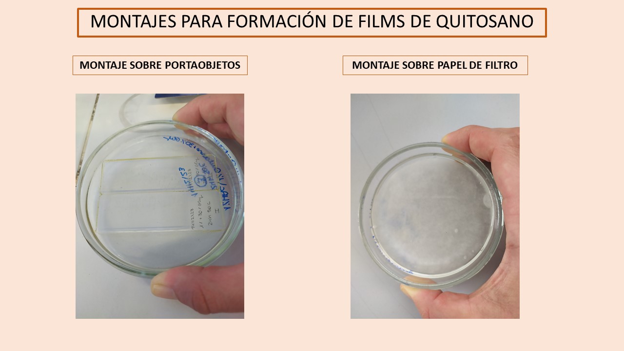 Preparaci&oacute;n de films de quitosano