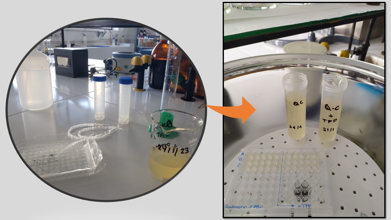 Seguimos experimentando con las formulaciones de quitosano